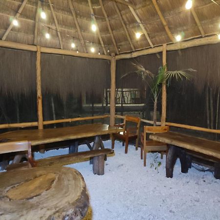 Aldea Maya-Ha Cabanas Con Cenotes 푸에르토 모렐로스 외부 사진