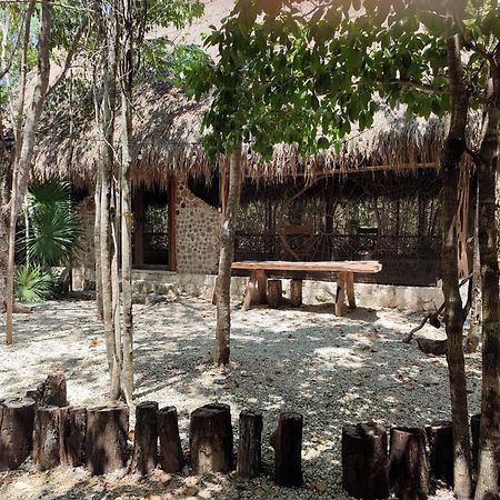 Aldea Maya-Ha Cabanas Con Cenotes 푸에르토 모렐로스 외부 사진