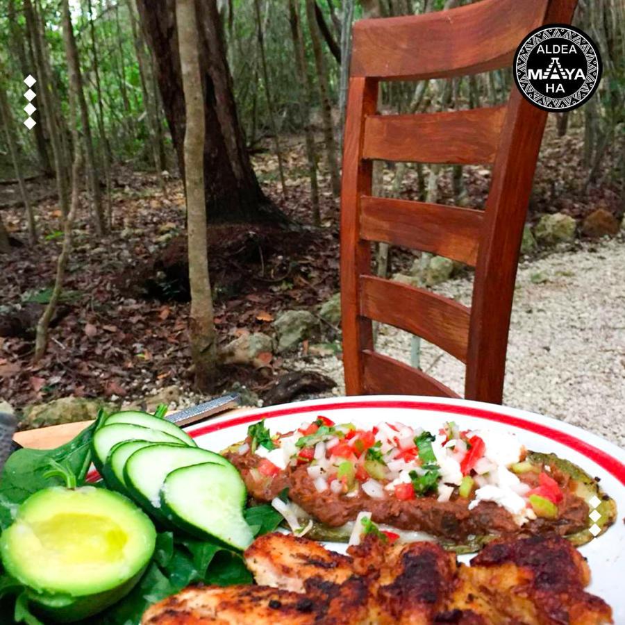 Aldea Maya-Ha Cabanas Con Cenotes 푸에르토 모렐로스 외부 사진