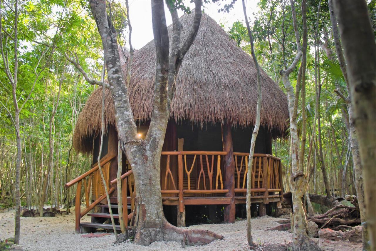 Aldea Maya-Ha Cabanas Con Cenotes 푸에르토 모렐로스 외부 사진