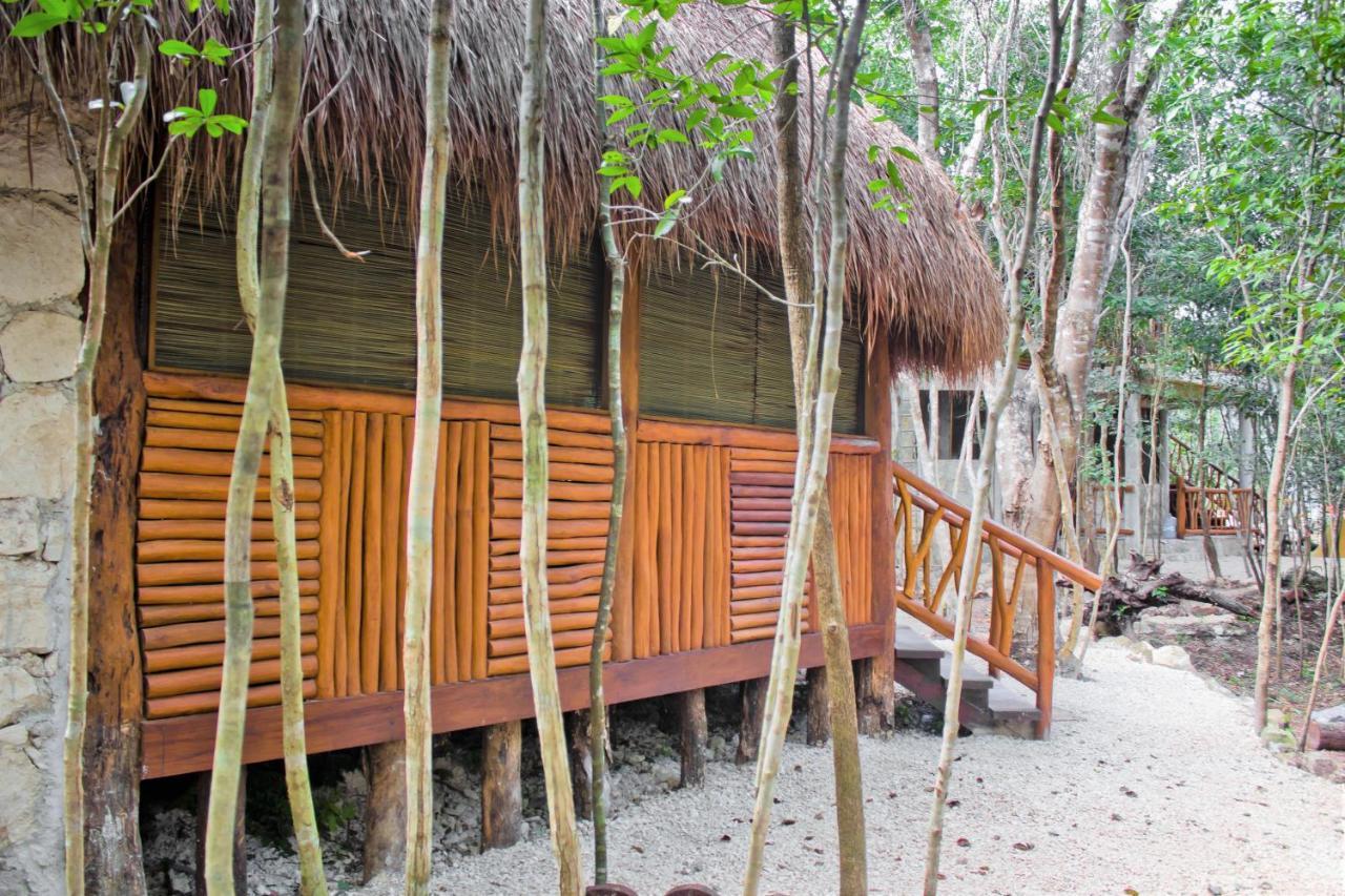 Aldea Maya-Ha Cabanas Con Cenotes 푸에르토 모렐로스 외부 사진