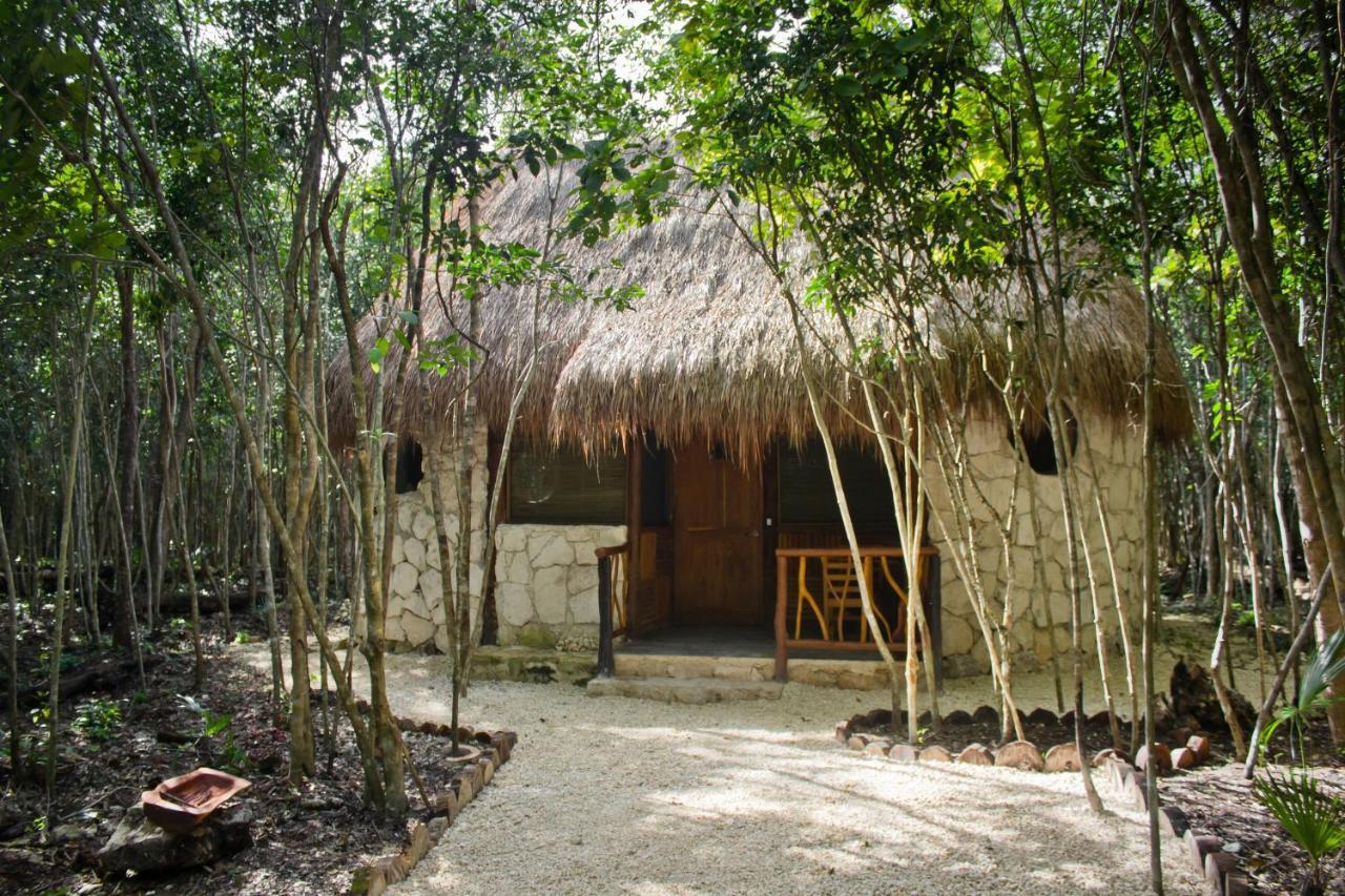 Aldea Maya-Ha Cabanas Con Cenotes 푸에르토 모렐로스 외부 사진