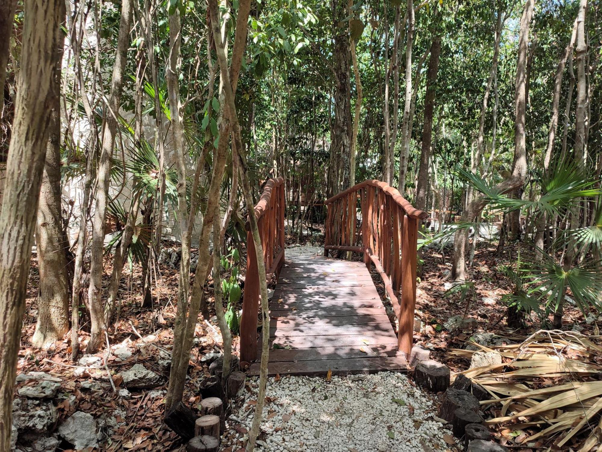Aldea Maya-Ha Cabanas Con Cenotes 푸에르토 모렐로스 외부 사진