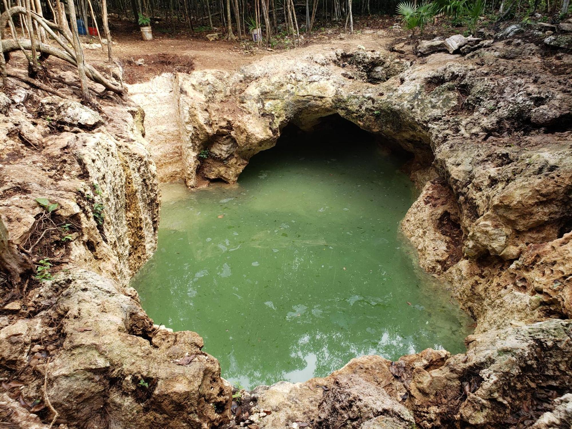 Aldea Maya-Ha Cabanas Con Cenotes 푸에르토 모렐로스 외부 사진