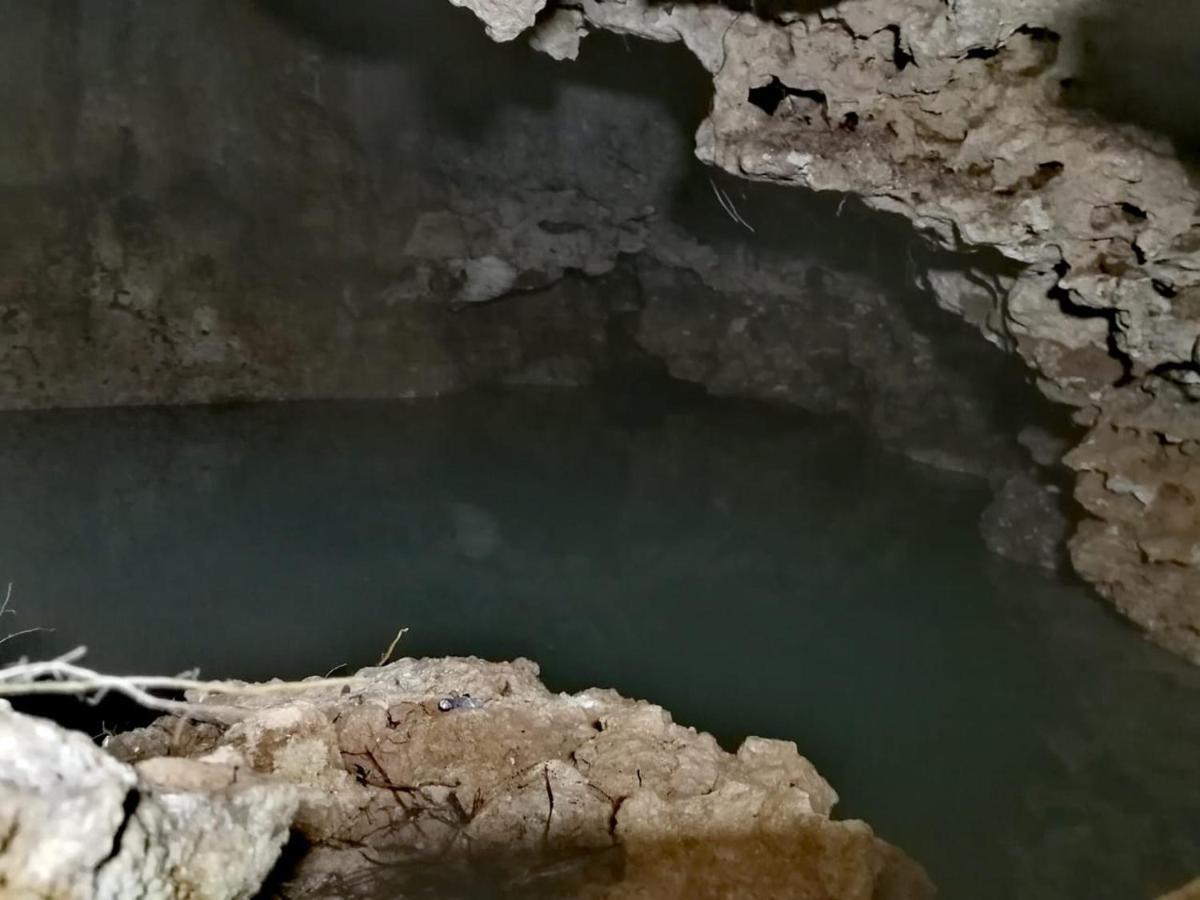 Aldea Maya-Ha Cabanas Con Cenotes 푸에르토 모렐로스 외부 사진
